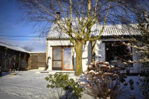 Maison Jeanny, full house with big garden v zimě
