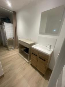 ein Bad mit einem Waschbecken und einem Spiegel in der Unterkunft maison de campagne le GAULT 
