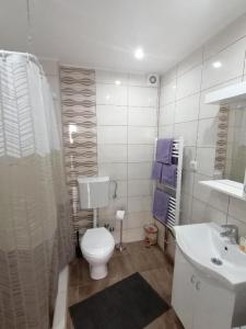 une salle de bain blanche avec toilettes et lavabo dans l'établissement Apartmani VIDOJKOVIĆ, à Sokobanja 36 autres photos