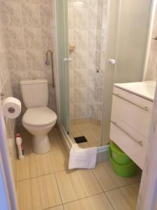 a bathroom with a toilet and a sink and a shower at Pokoje u Bożeny in Karwia