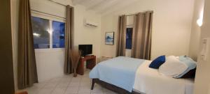a bedroom with a bed and a television in it at Private Luxury Villa Palm Beach in Palm-Eagle Beach +22 photos