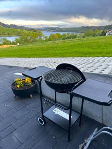 - une terrasse avec 2 chaises, une table et un pot de fleurs dans l'établissement Czarna Perła Czorsztyn, Opcja Sauna i Jacuzzi, à Czorsztyn