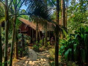 a house in the middle of a jungle with palm trees at The Twin Cottages in Madikeri