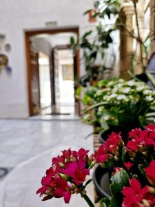 a room filled with lots of flowers in pots at Apartamentos VITA CENTER in Granada