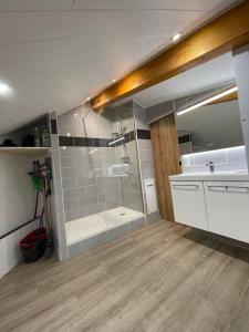 ein Bad mit einer Dusche und einem Waschbecken in der Unterkunft Al_titude1138 in Les Contamines-Montjoie