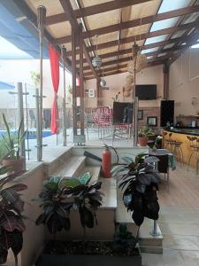 a kitchen with potted plants in a room at HBCF Hotel Boutique Casa Farallones de Santiago de Cali in Cali