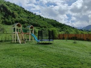 a playground with a slide and a house in a field at Căsuța din Rusca in Sebeşu de Jos