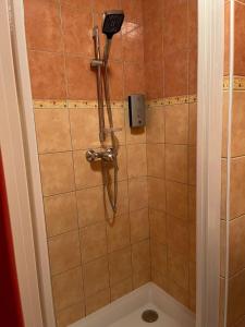 eine Dusche mit einem Haartrockner im Bad in der Unterkunft Hôtel Elaïa in Corps