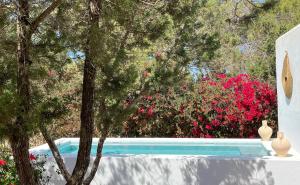 a swimming pool next to some trees and pink flowers at Formentera Mind Yoga & Fit in Playa Migjorn
