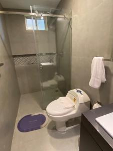 uma casa de banho com um WC e um chuveiro em Microsuite 2 en Guayaquil elegante y privada em Guayaquil