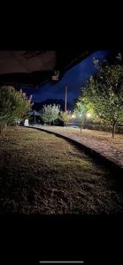 un parque de noche con árboles y luces de la calle en Valle_verde, en Bar