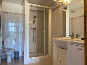 een badkamer met een douche, een toilet en een wastafel bij Maison au Colorado Provençal in Rustrel +21 foto's