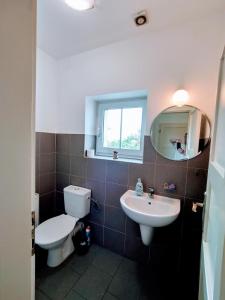 uma casa de banho com um WC, um lavatório e um espelho. em Duplex with garden em Praga