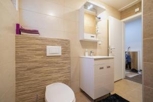 Gallery image of Apartman BOJANA in Pirot