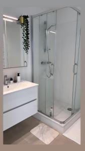 La salle de bains est pourvue d'une douche en verre et d'un lavabo. dans l'établissement Joli appartement haut standing Liège Centre, à Liège