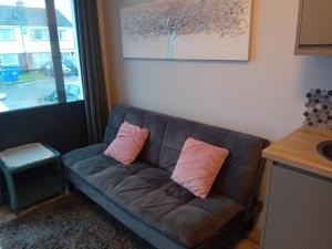 Φωτογραφία από το άλμπουμ του Compact one bed apartment near University of Limerick σε Gilloge Bridge