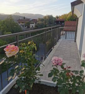 uma varanda de uma casa com rosas cor-de-rosa em Casa Marta 11 em Garlenda