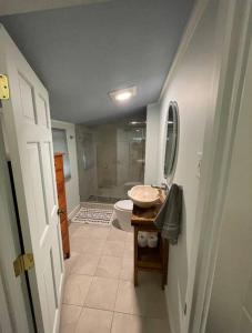 une salle de bain avec un lavabo, des toilettes et un miroir dans l'établissement Berta's Lake Front Cottage on Winona Lake!, à Ashland
