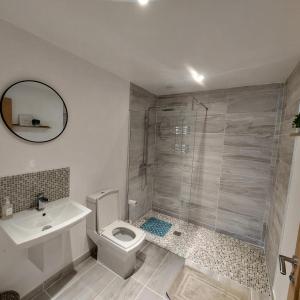 a bathroom with a shower and a toilet and a sink at Stylish Bungalow in Symonds Yat in Hereford