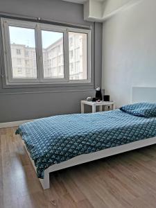 um quarto com uma cama e duas janelas em Belle chambre exposée Sud em Le Havre