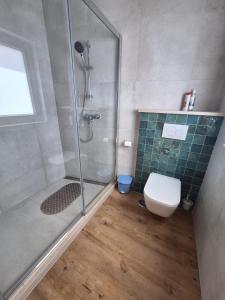 a bathroom with a glass shower and a toilet at Santa Cruz - B&B in Lagos