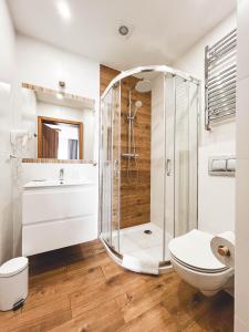 a bathroom with a shower and a toilet at Beskidian in Węgierska Górka