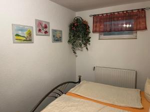 Ferienwohnung Hoppelnase mit eigener Sauna في Langenstein: غرفة نوم بسرير ونافذة بها نبات