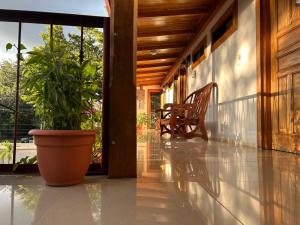 Vrt pred nastanitvijo Hotel Javy