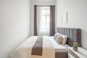 Central Deluxe Gozsdu Court Apartment 1072 Budapest, Dob utca 16 kép - 2