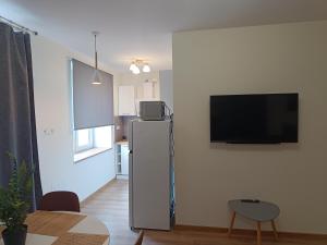 TV a/nebo společenská místnost v ubytování BELLEVUE