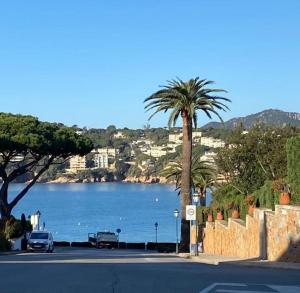 a palm tree sitting on the side of a street at Preciosa casa de playa in S'Agaro