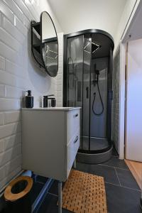 bagno con doccia, lavandino e specchio di La Belle Rive du voyageur a Bellerive-sur-Allier