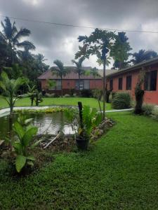 a house with a pond in front of a yard at Orchid Island Bure in Pacific Harbour