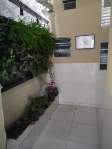 um quarto com vasos de plantas numa parede em 42 LOFT DUPLO · LOFT perto do Aeroporto de Congonhas e Zoológico em São Paulo