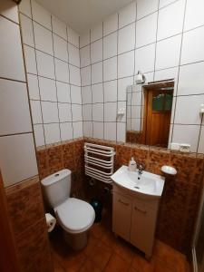 bagno con servizi igienici, lavandino e specchio di Willa Marta M Sauna Jacuzzi a Zakopane