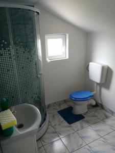 ein Bad mit einer Dusche, einem WC und einem Waschbecken in der Unterkunft Cabana Vânătorului 