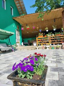 eine Terrasse mit Blumen in einem Topf vor einem Gebäude in der Unterkunft Cabana Vânătorului 
