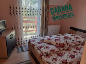 Schlafzimmer mit einem Bett, einem TV und einem Fenster in der Unterkunft Cabana Vânătorului 