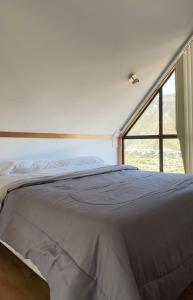 a bed in a room with a large window at Pueblo Andino Los Molles in Malargüe