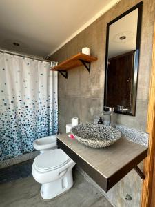 een badkamer met een wastafel, een toilet en een spiegel bij Pueblo Andino Los Molles in Malargüe