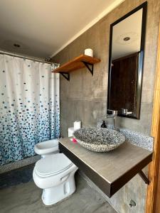 a bathroom with a sink and a toilet and a mirror at Pueblo Andino Los Molles in Malargüe