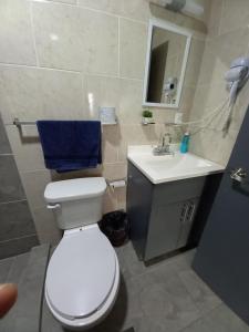 a bathroom with a white toilet and a sink at Tu Estancia Guadalajara in Guadalajara