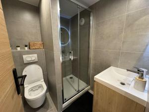 een badkamer met een toilet, een douche en een wastafel bij Destination Royale in Annecy