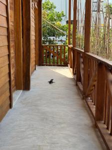 Fotografie z fotogalerie ubytování MARIBY HOLBOX v destinaci Ostrov Holbox