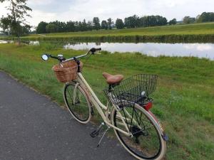 Burg KauperにあるHoliday home Harmonie I in Burgの道路脇にバスケットを置いた自転車