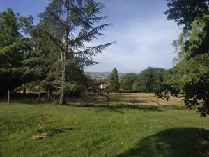 een veld van groen gras met een boom erin bij Fédarié : dépendance proche Albi in Arthès