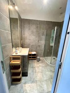 uma casa de banho com um lavatório e um chuveiro em Gite du Meunier, au bord du Cosson, 4 étoiles em Vineuil