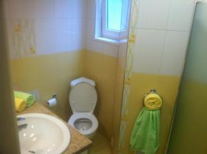 Vonios kambarys apgyvendinimo įstaigoje Gogol 2BR Apartment