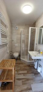 een badkamer met een toilet en een wastafel bij Ostseetraum Igelring in Gelbensande