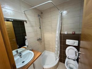 a small bathroom with a toilet and a sink at Apartman Mak in Mostar